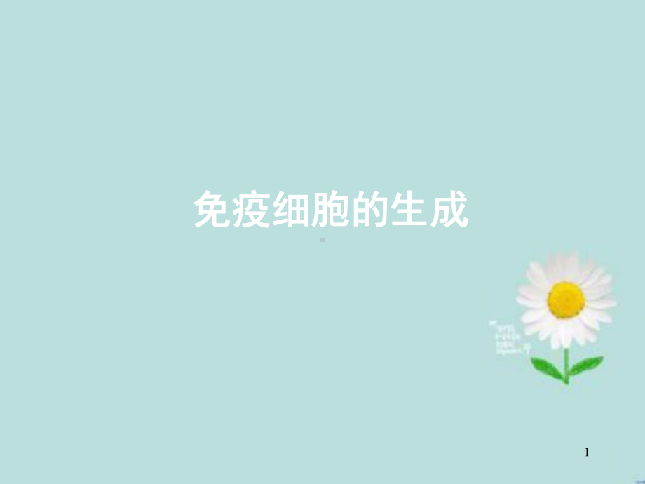 造血干细胞PPT课件.ppt_第1页