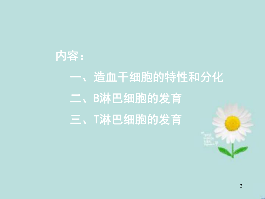 造血干细胞PPT课件.ppt_第2页