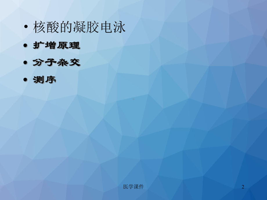 PCR原理-ppt课件.ppt_第2页