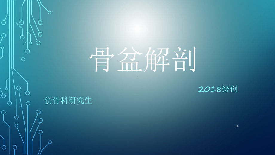 骨盆解剖PPT课件.ppt_第1页