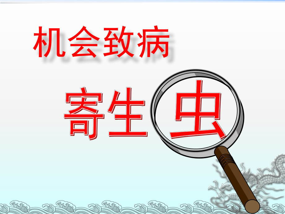 弓隐人芽囊原虫ppt课件.ppt_第2页