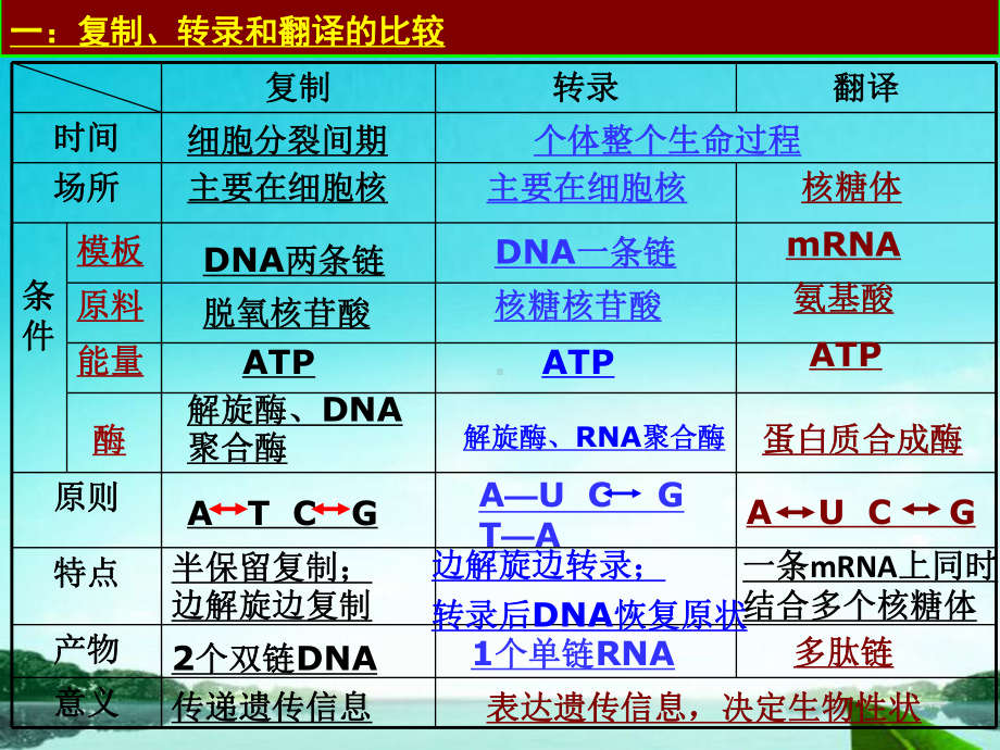 高中生物必修二期末复习修改版PPT课件.ppt_第1页