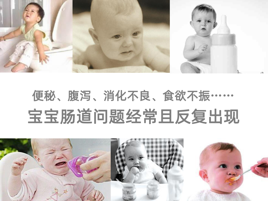 水苏糖产品知识课件.ppt_第3页