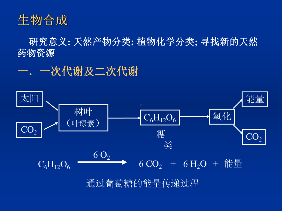 苯丙素类PPT课件-.ppt_第3页