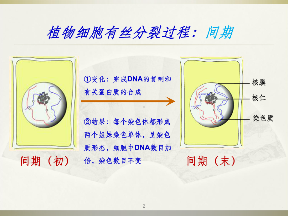 减数分裂完整ppt课件.ppt_第2页