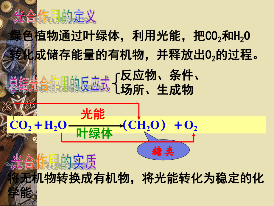 《能量之源-光与光合作用》PPT课件.ppt_第1页