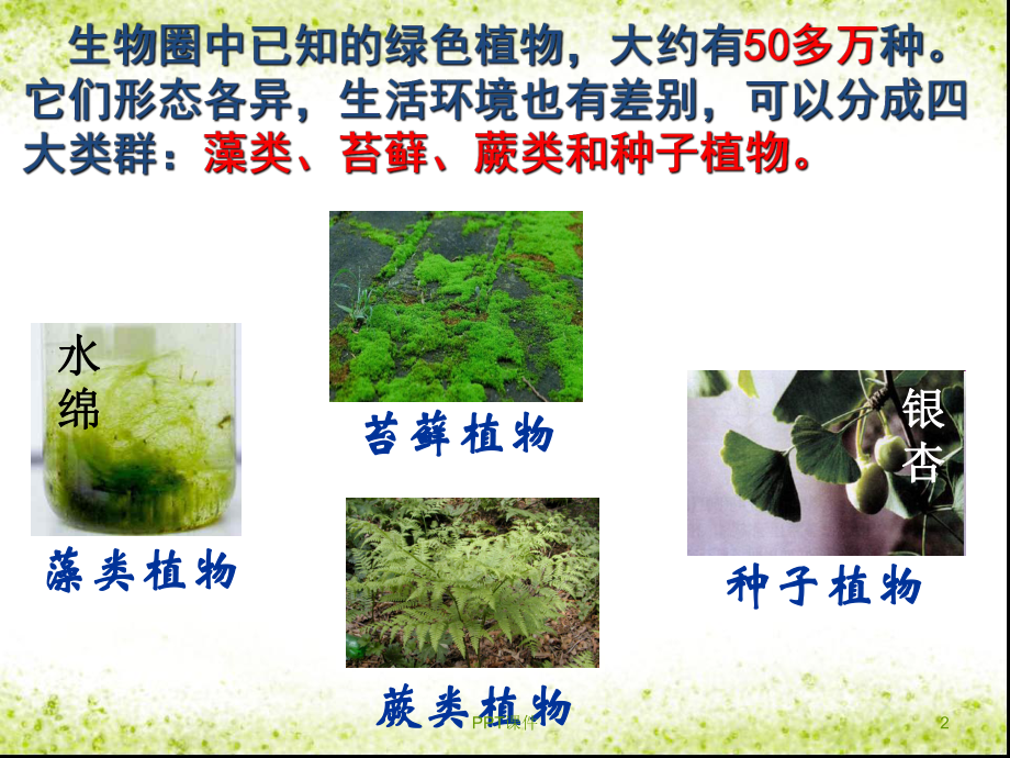 藻类苔藓与蕨类植物-ppt课件.ppt_第2页