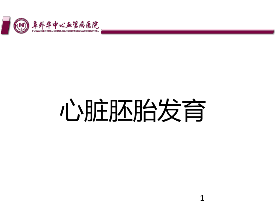 心脏胚胎发育PPT课件.ppt_第1页