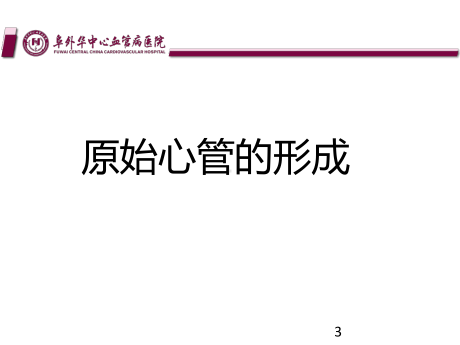 心脏胚胎发育PPT课件.ppt_第3页