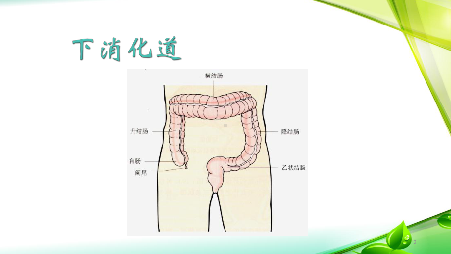 便血-ppt课件.ppt_第2页