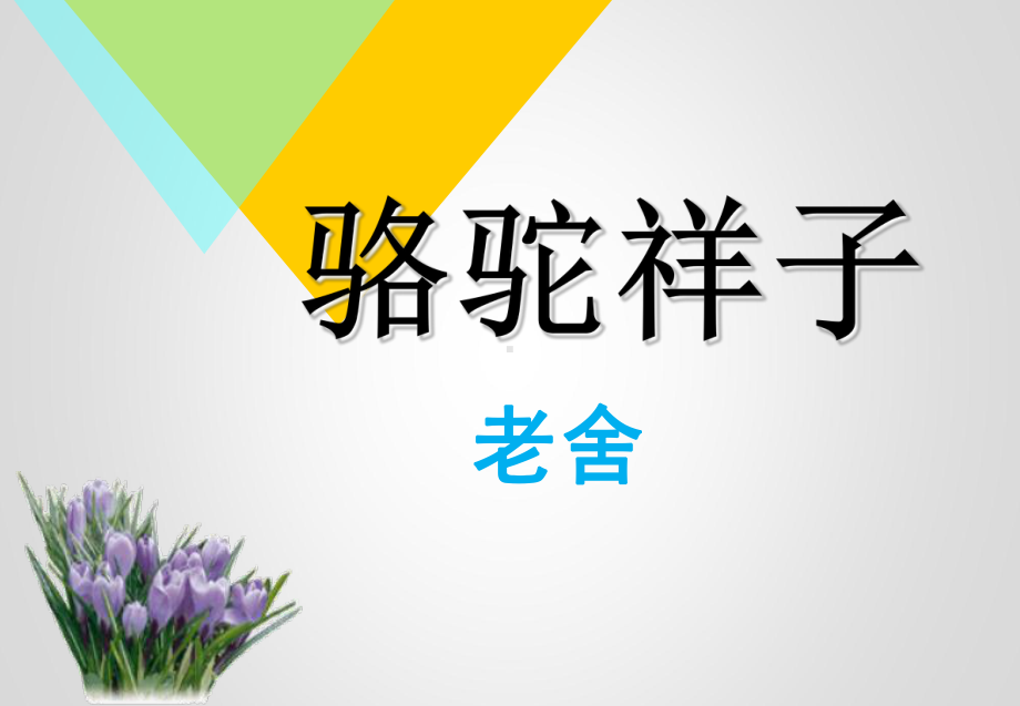 骆驼祥子复习详ppt课件ppt