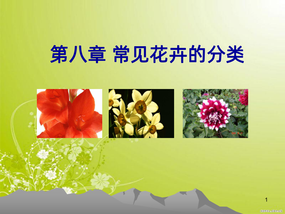 常见花卉的分类PPT课件.ppt_第1页