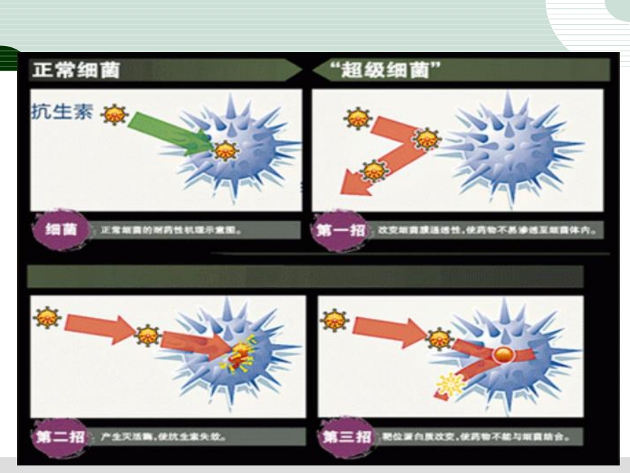 多重耐药菌预防与控制课件.ppt_第3页