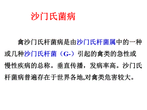 禽病学沙门氏菌病病PPT课件.ppt