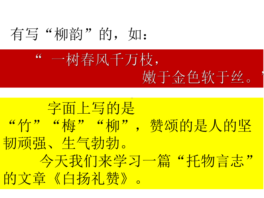 白杨礼赞优秀PPT课件.ppt_第2页