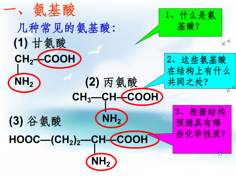 蛋白质公开课ppt课件.ppt_第3页