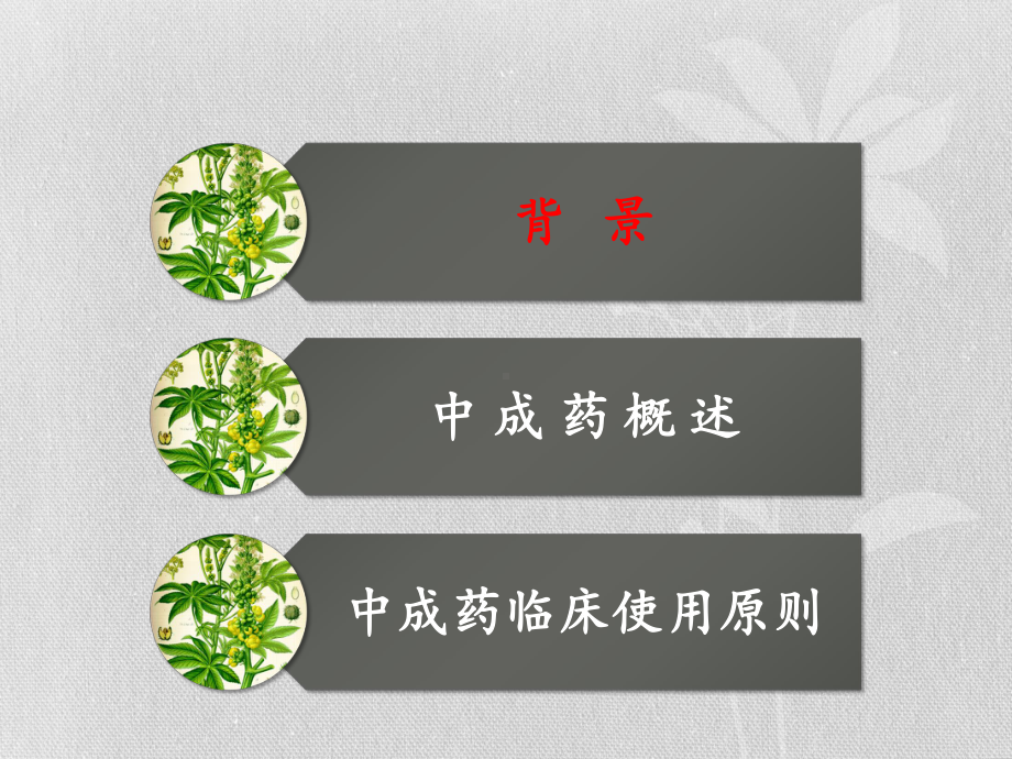 中成药合理应用ppt课件共41页.pptx_第3页