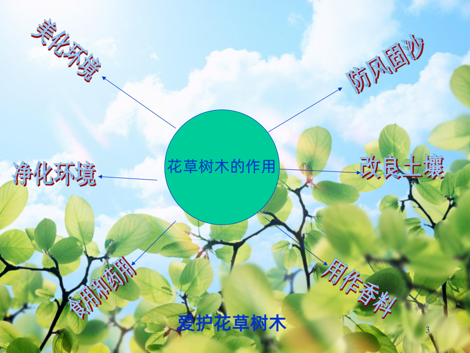 爱护动植物PPT课件.ppt_第3页