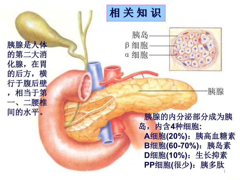 药理学胰岛素及口服降糖药ppt课件.ppt_第1页