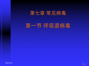 常见病毒ppt课件.ppt