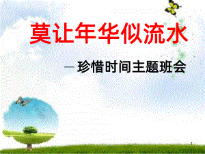 《珍惜时间》主题班会解析PPT课件.ppt