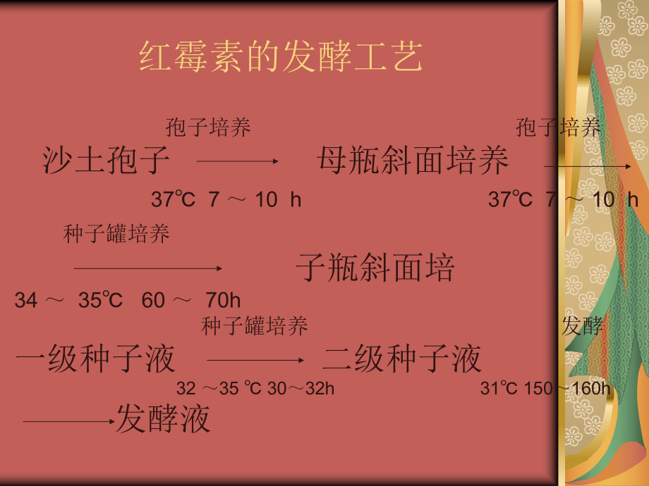 红霉素的发酵及提取工艺演示课件.ppt_第3页