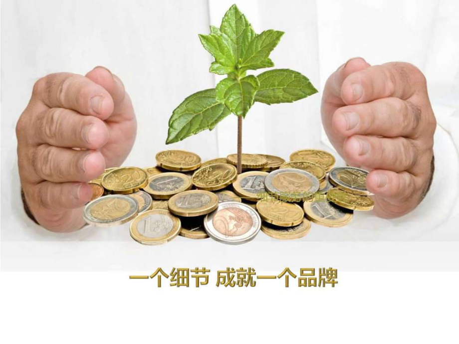 《细节服务的重要性》PPT课件.ppt_第1页