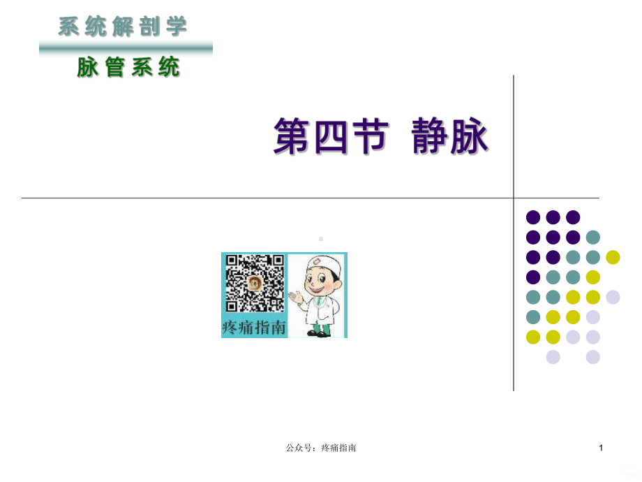 解剖静脉PPT课件.ppt_第1页