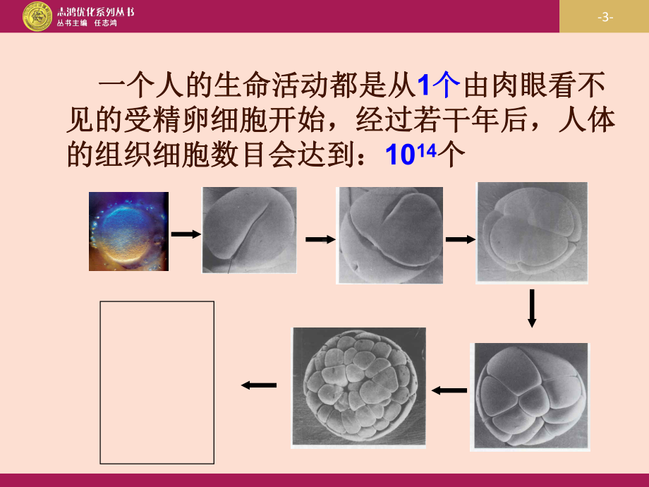 全国青年教师生物学科大比武一等奖优质课课件《细胞.ppt_第3页