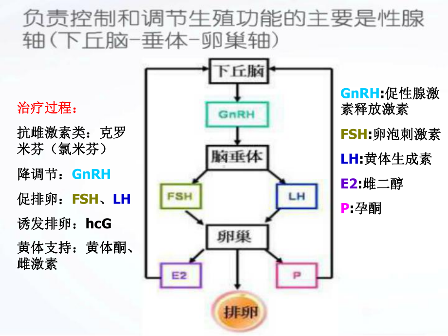 辅助生殖用药ppt课件.ppt_第3页