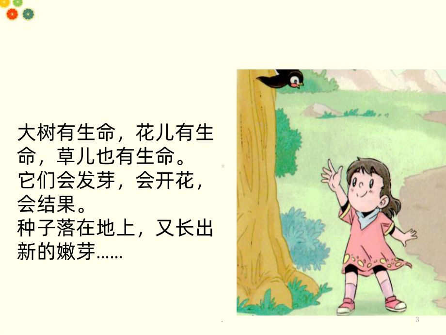 《花儿草儿真美丽》PPT课件.ppt_第3页