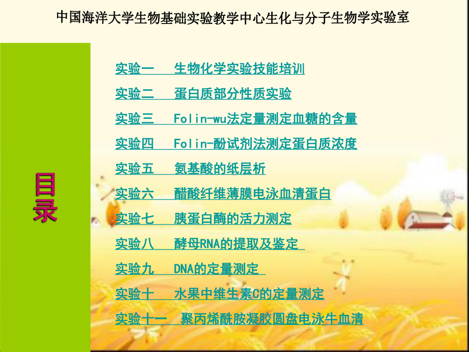 《生物化学实验》全套课件-PPT.ppt_第2页