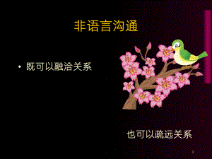 《非语言沟通》PPT课件.ppt