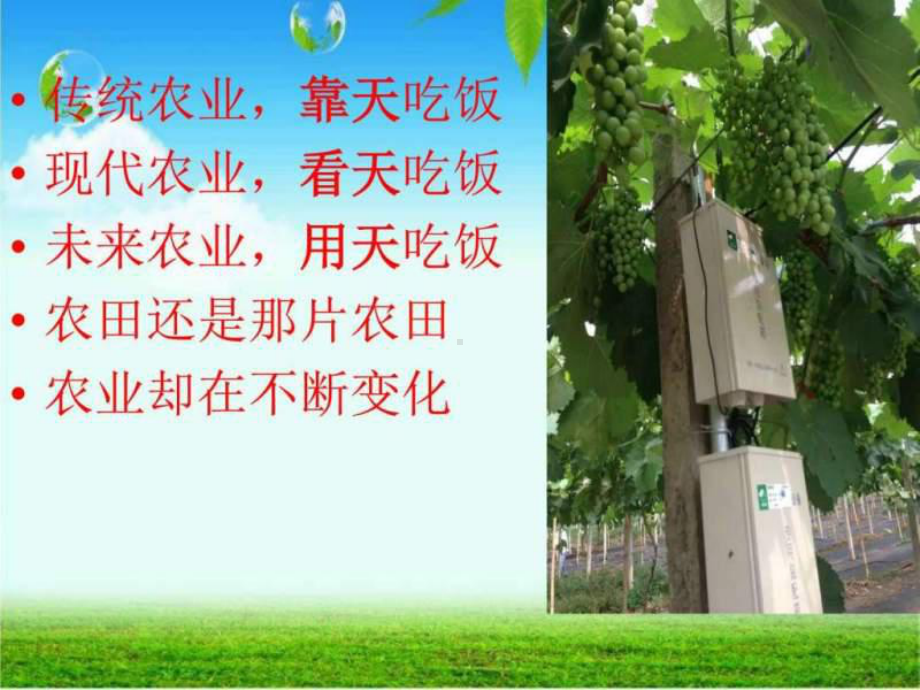 《现代农业发展趋势》PPT课件.ppt_第3页