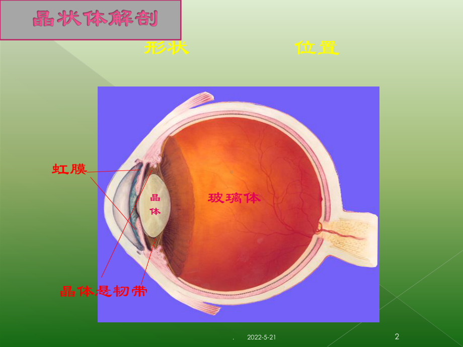 晶状体PPT课件.ppt_第2页