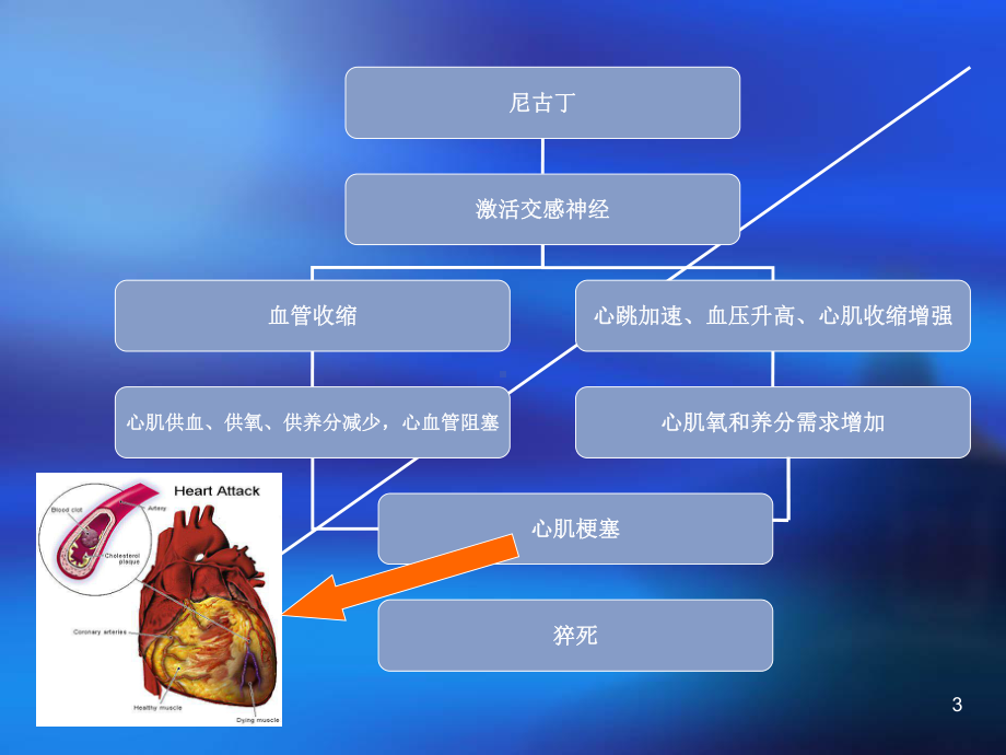 简短戒烟干预培训PPT课件.ppt_第3页