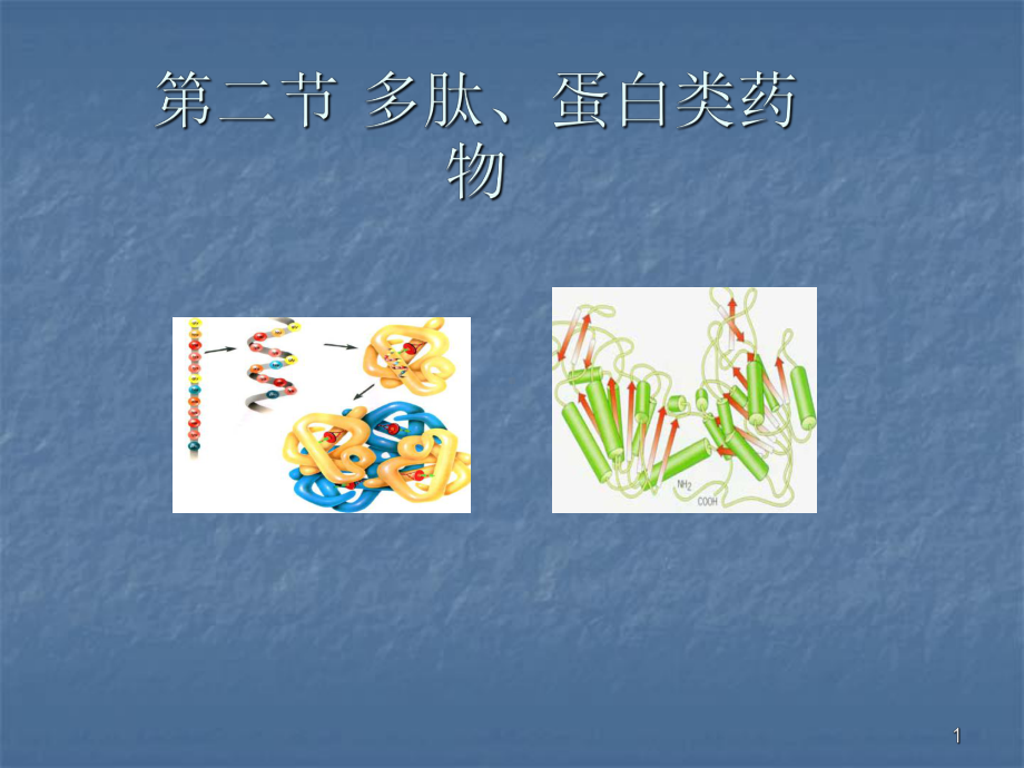 蛋白多肽药物ppt课件.ppt_第1页