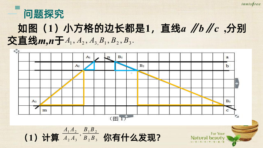 《平行线分线段成比例》PPT课件.ppt_第2页