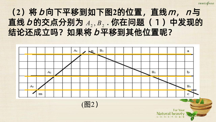 《平行线分线段成比例》PPT课件.ppt_第3页