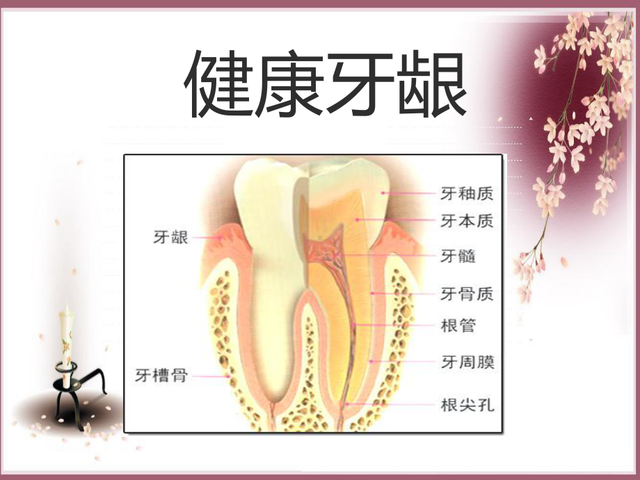 牙齿保健知识讲座PPT课件.ppt_第1页