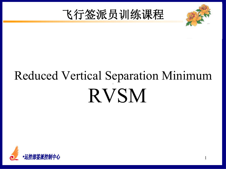 RVSM课件.ppt_第1页