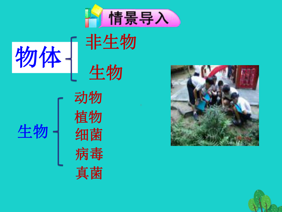 七年级生物上册第二章第一节探索生命的器具课件苏教.ppt_第2页