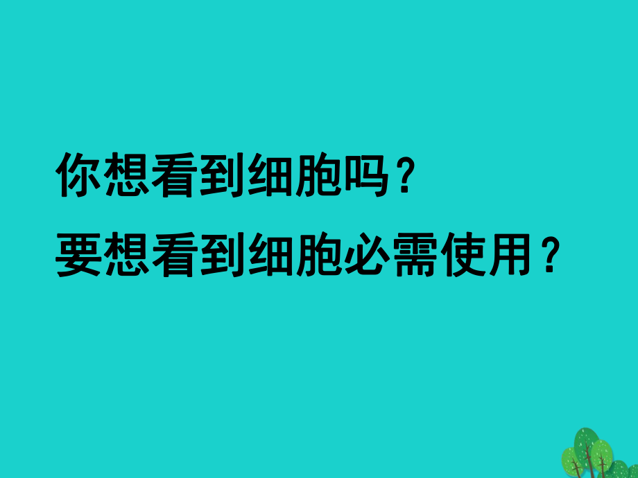 七年级生物上册第二章第一节探索生命的器具课件苏教.ppt_第3页