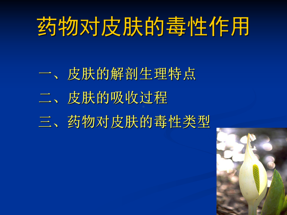 药物对皮肤的毒性ppt课件.ppt_第3页