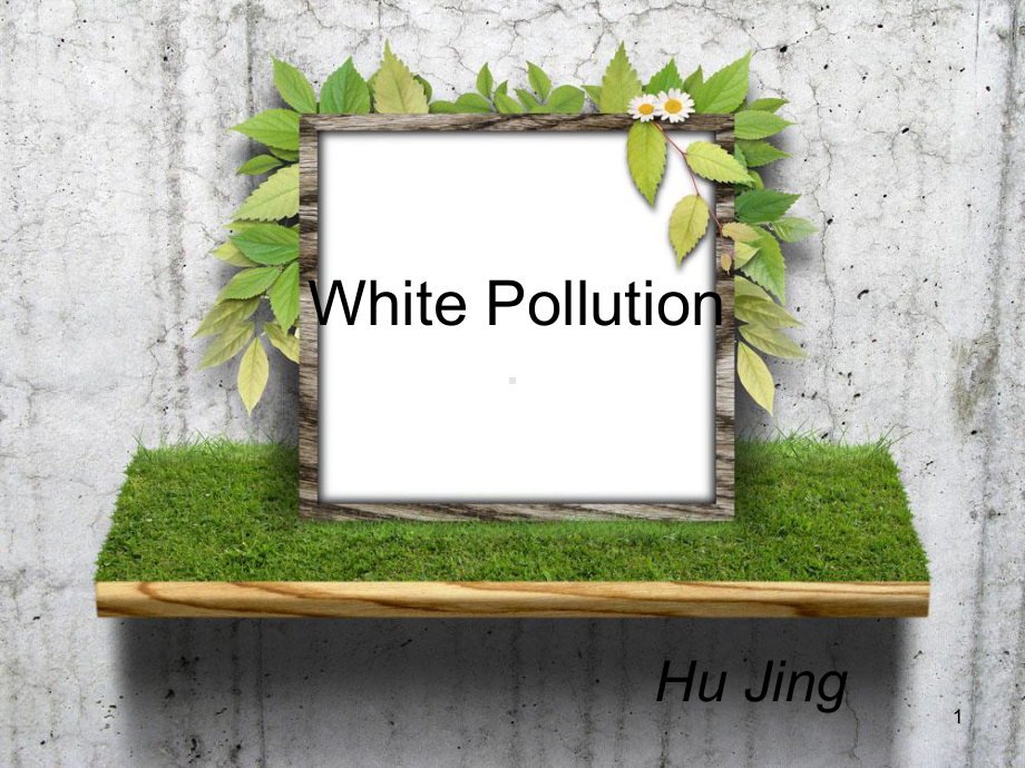 White-PollutionPPT课件.ppt_第1页