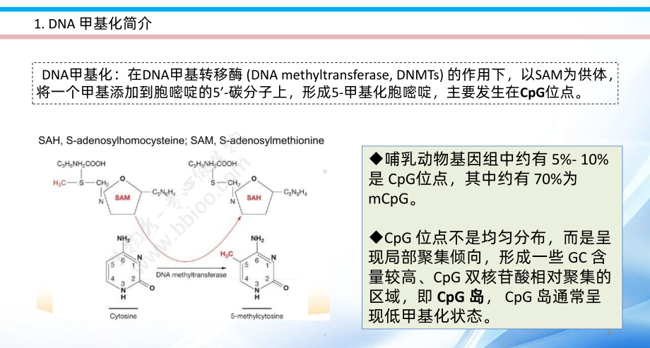 DNA甲基化实验PPT课件.pptx_第3页