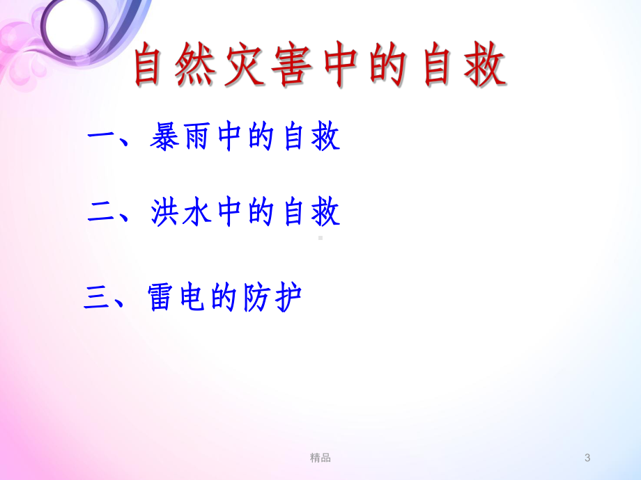 《防汛主题班会》PPT课件.ppt_第3页