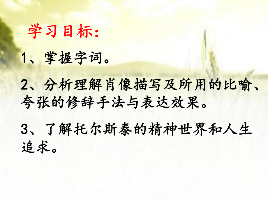 列夫托尔斯泰-PPT课件.ppt_第3页