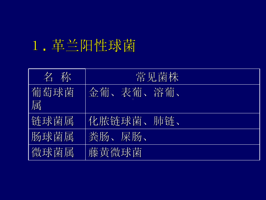 细菌分类与药敏解读PPT课件.ppt_第3页