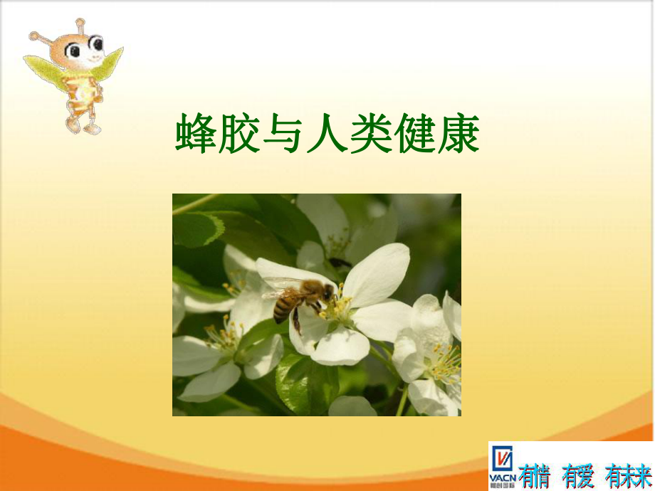 蜂胶PPT课件.ppt_第2页